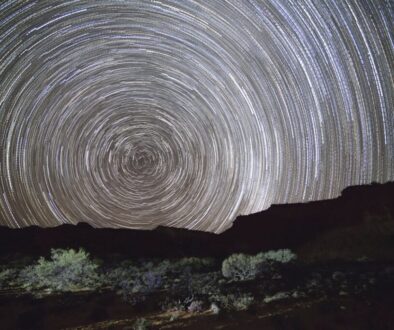 Gospodarka obiegu zamkniętego w branży opakowań – studium przypadku