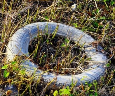 Blockchain w NGO: zastosowanie i przykłady z organizacji charytatywnych