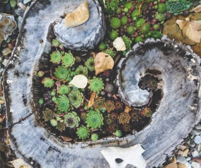 Smart working a przyszłość pracy hybrydowej