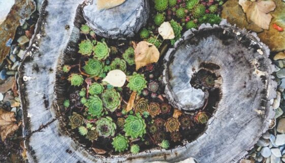 Smart working a przyszłość pracy hybrydowej