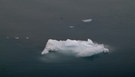 Jak globalne ocieplenie wpływa na rolnictwo i przyszłość upraw