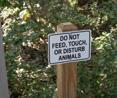 Etyka komunikacji kryzysowej – perswazja i granice w sytuacjach awaryjnych