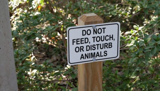 Etyka komunikacji kryzysowej – perswazja i granice w sytuacjach awaryjnych