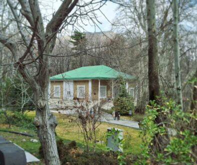 Zrównoważone łańcuchy dostaw w żywności: priorytety i kontrole