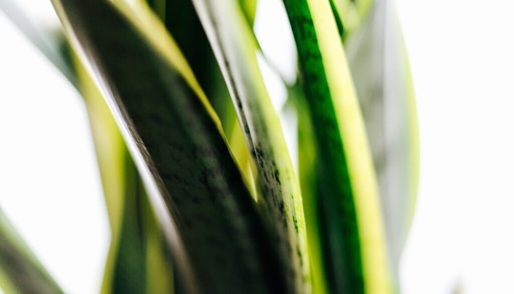 Ekologiczne nawyki w biurze – proste zmiany bez kosztów