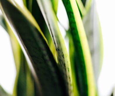 Ekologiczne nawyki w biurze – proste zmiany bez kosztów