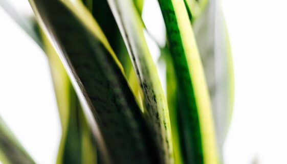 Ekologiczne nawyki w biurze – proste zmiany bez kosztów